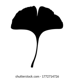 Ginkgo or Gingko Biloba leaf. Nature botanical vector silhouette illustration, herbal medicine graphic in black isolated over white.