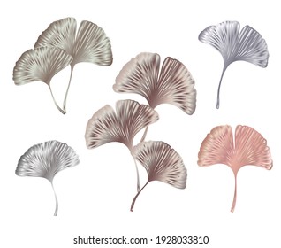 Ginkgo or Gingko Biloba rose golden leaves set. Nature botanical pink gold vector illustration, decorative metal graphic isolated over white.