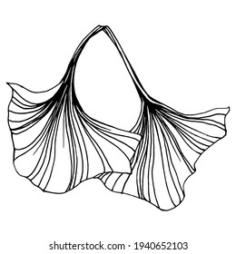 Ginkgo herbal plant by hand drawing sketch. Floral tattoo highly detailed in line art style. Black and white clip art isolated on white background. Antique vintage engraving illustration for logo