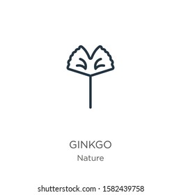 Ginkgo icon. Thin linear ginkgo outline icon isolated on white background from nature collection. Line vector sign, symbol for web and mobile