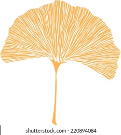 Ginkgussblatt