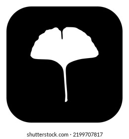 Ginkgo leaf and app icon on white
