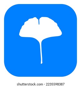 Ginkgo leaf and app icon on white