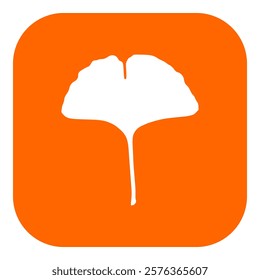 Ginkgo leaf and app icon on white