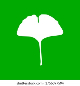 Ginkgo leaf and background as icon