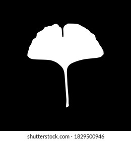 Ginkgo leaf and background as icon