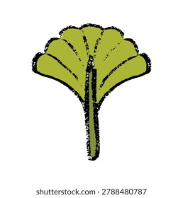 Ginkgo leaf botanical crayon wax doodle, rough textured hand drawn, biloba foliage illustration, organic maidenhair plant, herbal green tea clipart element