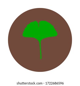 Ginkgo leaf and circle on white