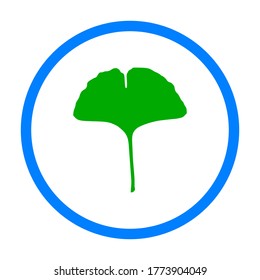 Ginkgo leaf and circle on white