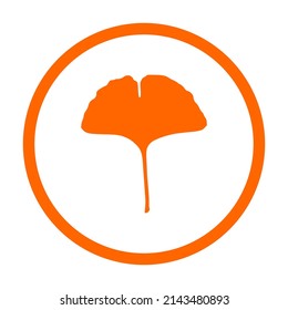 Ginkgoblatt und Kreis auf Weiß