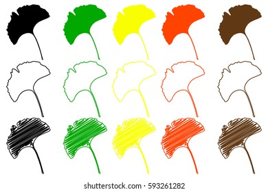 ginkgo leaf - color set
