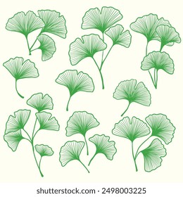 Ginkgo leaf drawing. Vintage ginkgo leaf illustration. Ginkgo leaf hand drawn