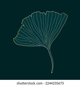 Ginkgo leaf gold edge trendy sketch. Isolated ginkgo biloba leaf vector illustration.