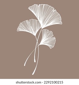 ginkgo leaf handwriting for card decoration clip art.