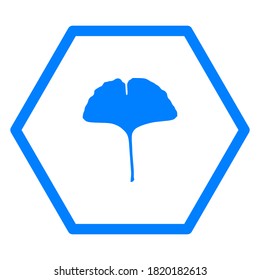 Ginkgo leaf and hexagon on white