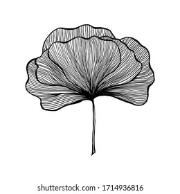 Ginkgo leaf ink line art design, vector isolated design element with wave outline drawing. Ginkgo biloba or ginko leaf, botanical plant engraving for modern interior decoration art design element