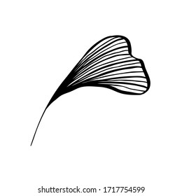 Ginkgo leaf ink line art design, vector isolated design element with wave outline drawing. Ginkgo biloba or ginko leaf, botanical plant engraving for modern interior decoration art design element