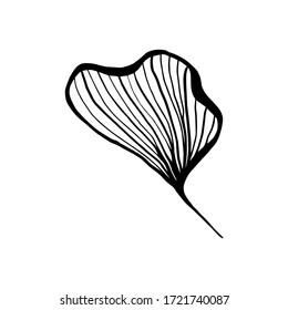 Ginkgo leaf ink line art design, vector isolated design element with wave outline drawing. Ginkgo biloba or ginko leaf, botanical plant engraving for modern interior decoration art design element