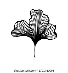 Ginkgo leaf ink line art design, vector isolated design element with wave outline drawing. Ginkgo biloba or ginko leaf, botanical plant engraving for modern interior decoration art design element