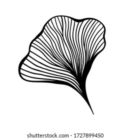 Ginkgo leaf ink line art design, vector isolated design element with wave outline drawing. Ginkgo biloba or ginko leaf, botanical plant engraving for modern interior decoration art design element