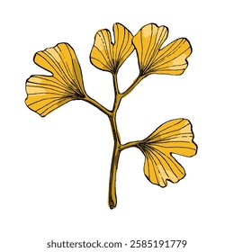 Ginkgo Leaf isolated Vector Illustration