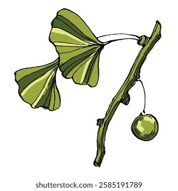 Ginkgo Leaf isolated Vector Illustration