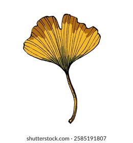 Ginkgo Leaf isolated Vector Illustration