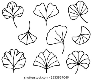 Ginkgo Leaf Outline Vector Icon