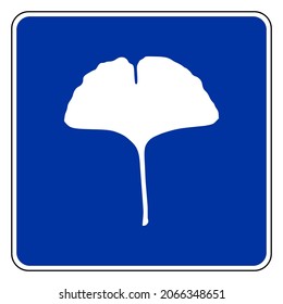 Ginkgo leaf and road sign on white
