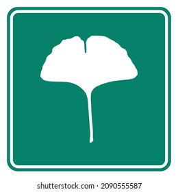 Ginkgo leaf and road sign on white