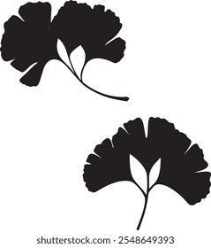 Ginkgo leaf silhouette black vector