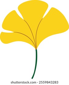 ginkgo leaf silhouette on the white background