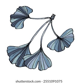 Ginkgo Leaf Sketch Vector Illustration