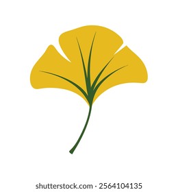 ginkgo leaf vector on white background