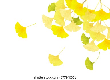 Ginkgo Folhas Fundo Outono