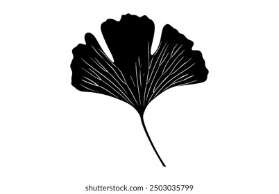 Ginkgo Leaves Clipart Black Silhouette, Ginkgo Biloba Leaf Silhouette Vector