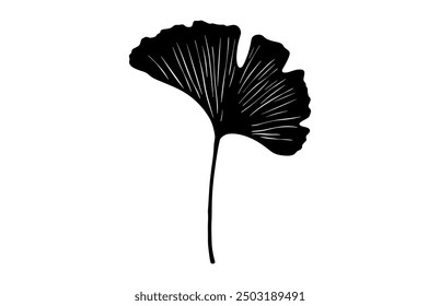 Ginkgo Leaves Clipart Black Silhouette, Ginkgo Biloba Leaf Silhouette Vector