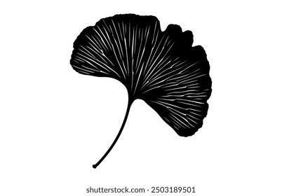 Ginkgo Leaves Clipart Black Silhouette, Ginkgo Biloba Leaf Silhouette Vector