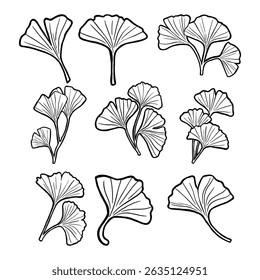 ‪Beautiful Ginkgo Leaves Collection. Vector Illustration about Nature.‬