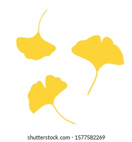 Ginkgo leaves falling on white background vector illustration.