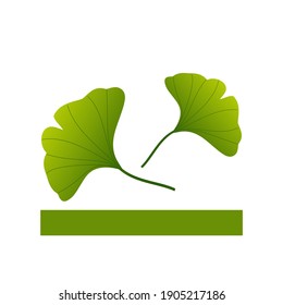 Ginkgo leaves with a green sign isolated on white background vector illustration.