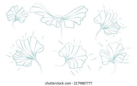 ginkgo leaves. hand-drawn. isolated on a white background.high quality vector illustration.for your design.
