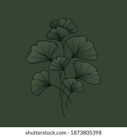 Ginkgo leaves line arts background vector.