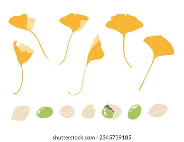 Ginkgo-Blätter und Nüsse-Dekorationsmaterial-Set, Vektorgrafik