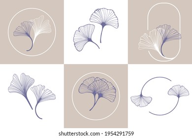 Ginkgo leaves spa design biloba . Set of ginkgo leaf by hand drawing on white backgrounds.
Elements for logo. Vector illustration in a minimal linear style.

