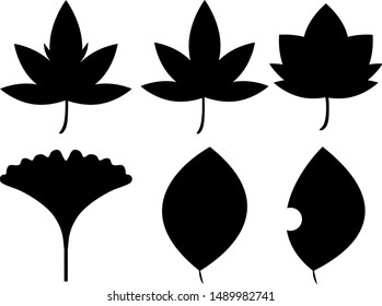 Ginkgo leaves vector　illustration.Autumn tree.Maple leaves.
