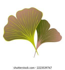 Ginkgo leaves trendy vector illustration for logo design, print, textile. Art on the theme of ecology and nature
