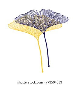 Ginkgo leaves vector  in a gold and dark blue on white background