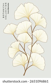 Ginkgo Leaves vector illustration | Line art style | Botanical collection | Editable EPS file | Ready-print file