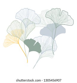 Ginkgo leaves vector isolated light blue, yellow, sage green graphics